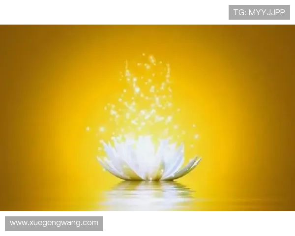 探索开运官方旗舰店的神奇魔力，让你的生活充满正能量与好运气