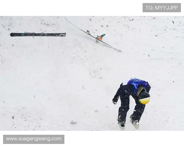 开云综合app官方网站介绍平台功能与使用流程详解指南